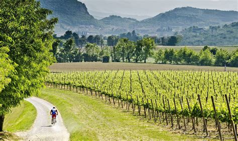 franciacorta wine tour